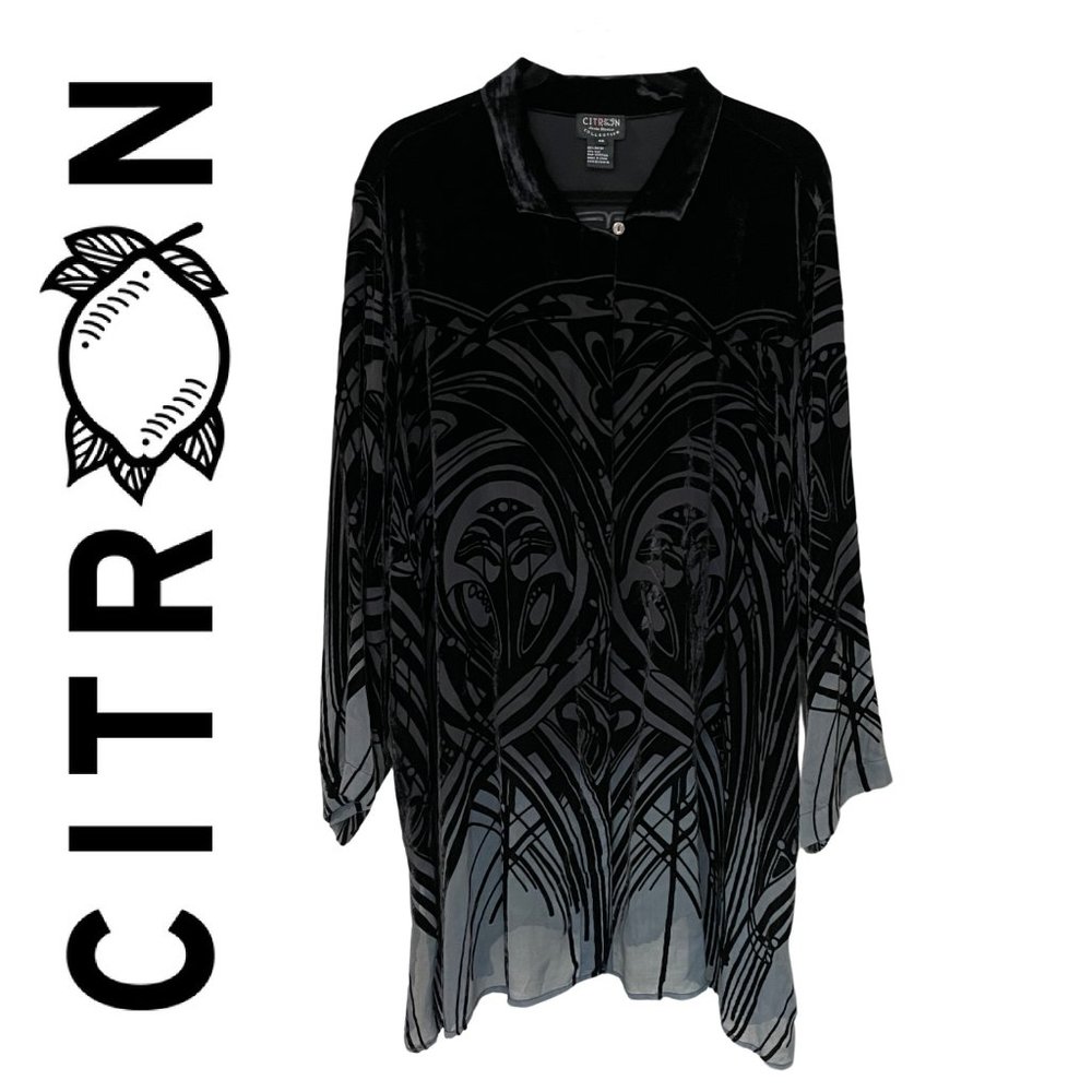 Citron Santa Monica Collection Velvet Ombré Sheer Silk Tunic Blouse - Size 4X